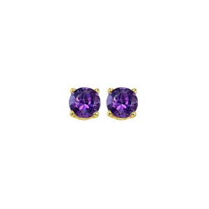 14Kt Yellow Gold Amethyst 3/4Ctw Earring