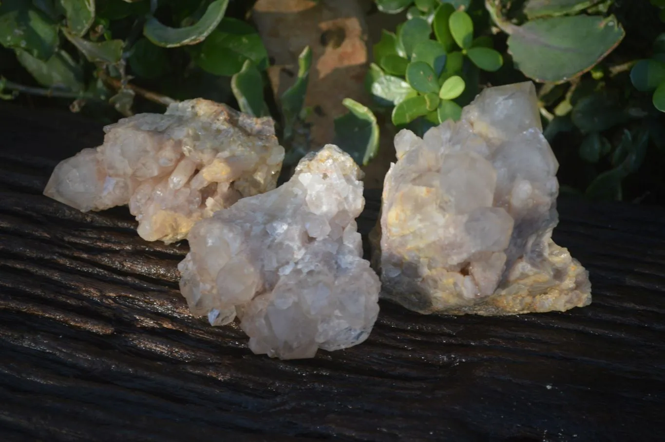 Natural Cascading Smokey Quartz Clusters x 3 From Luena, Congo