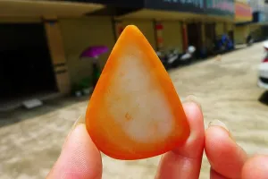 Natural Jade Rough Jadeite Raw (18g,4.9X3.7X0.35cm)