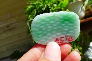 Natural Jade Rough Jadeite Raw (20g,4.5X3X0.55cm)