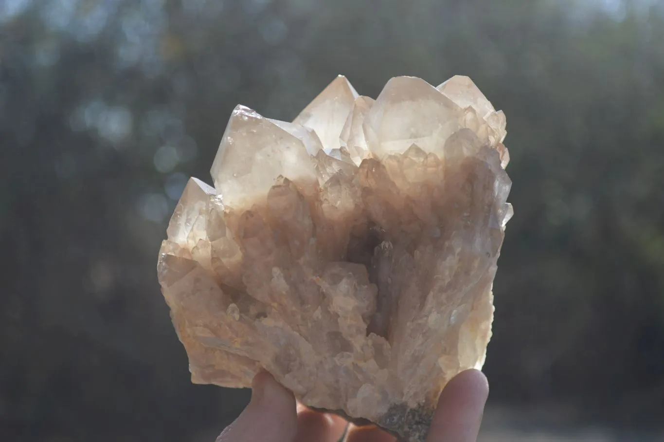 Natural Quartz Clusters x 2 From Luena, Congo