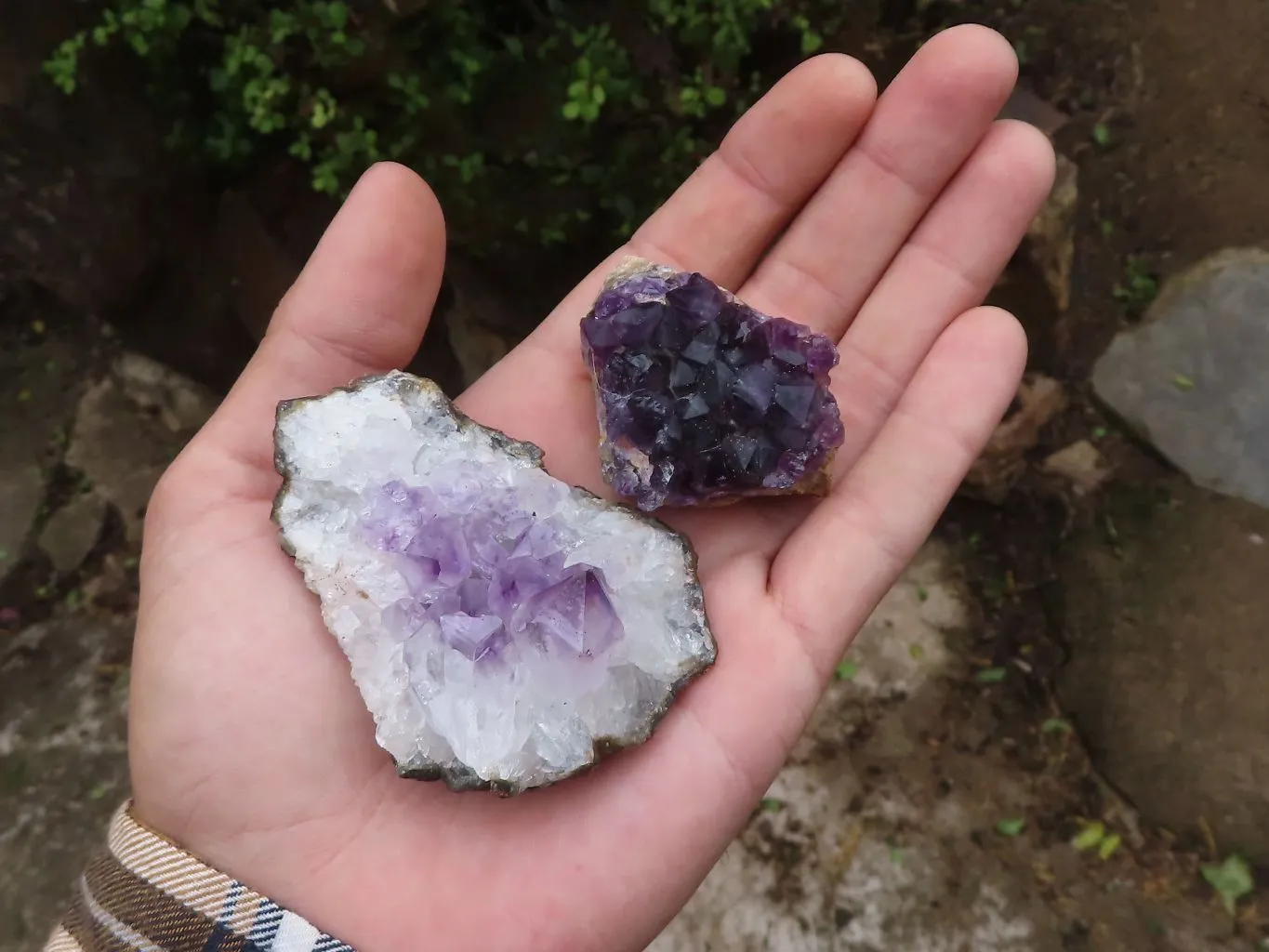 Natural Small Dark Amethyst Crystal Plate Specimens x 24 From Zululand, South Africa