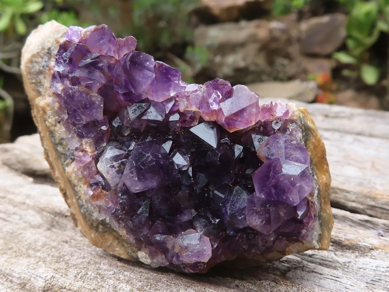 Natural Small Dark Amethyst Crystal Plate Specimens x 24 From Zululand, South Africa