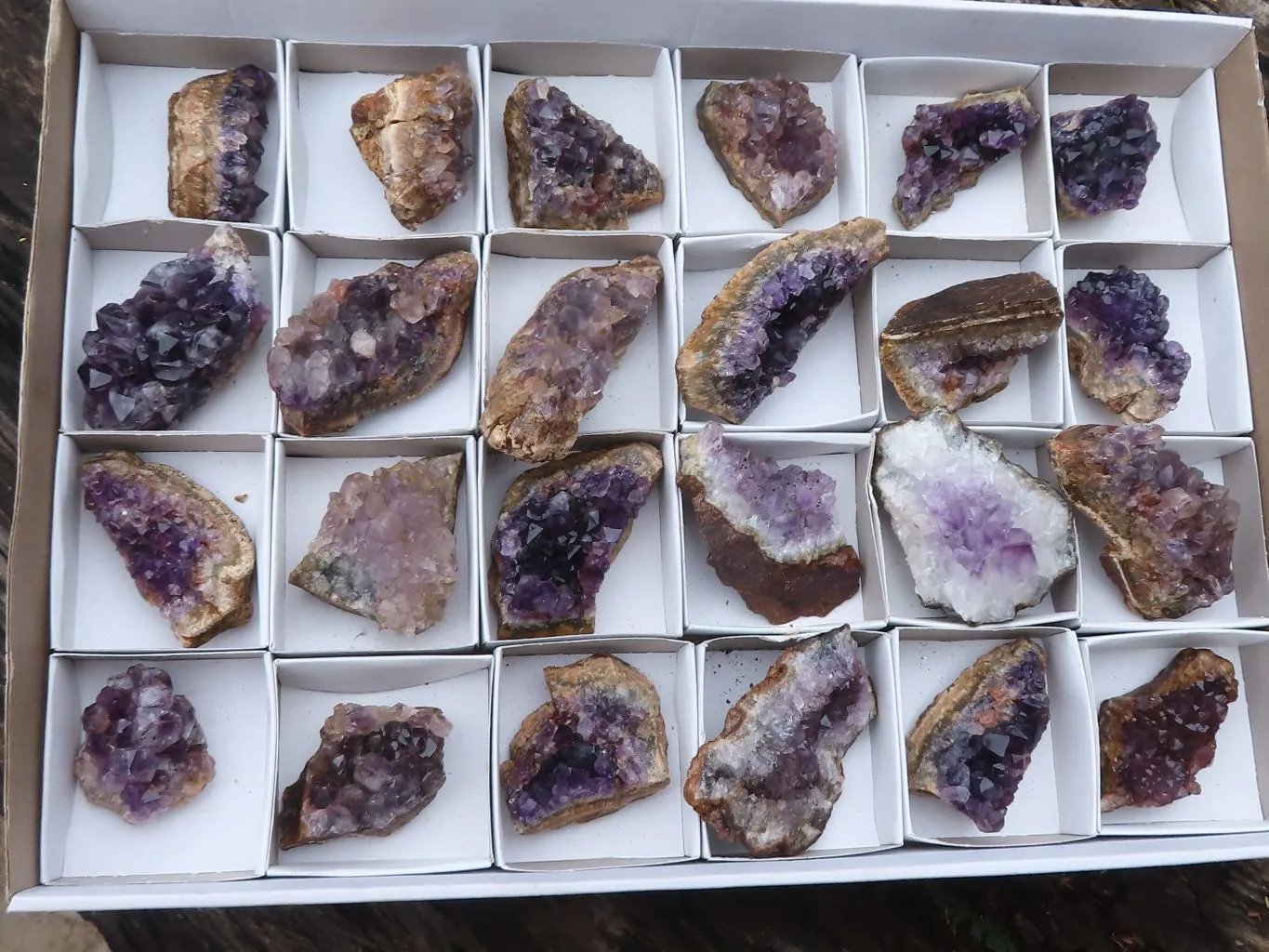 Natural Small Dark Amethyst Crystal Plate Specimens x 24 From Zululand, South Africa