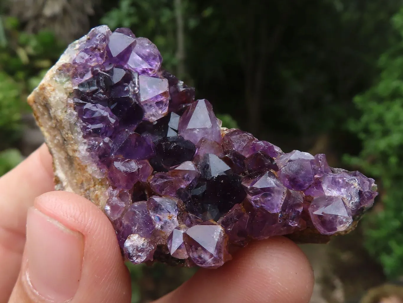 Natural Small Dark Amethyst Crystal Plate Specimens x 24 From Zululand, South Africa