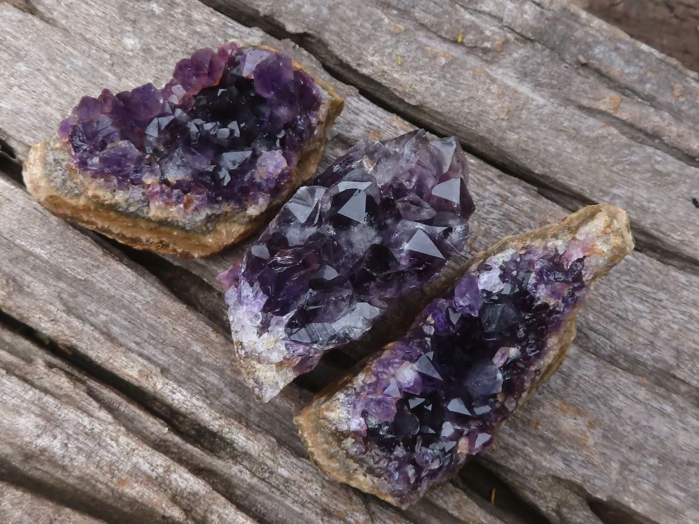 Natural Small Dark Amethyst Crystal Plate Specimens x 24 From Zululand, South Africa