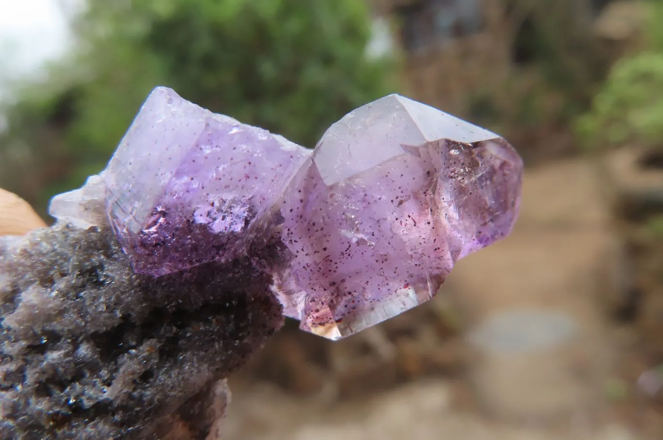 Natural Smokey Amethyst Crystals x 20 From Chiredzi, Zimbabwe