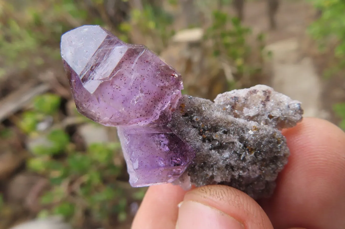 Natural Smokey Amethyst Crystals x 20 From Chiredzi, Zimbabwe