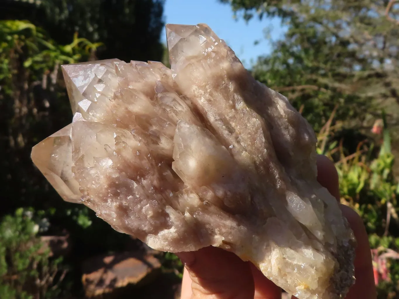 Natural Smokey Quartz Clusters x 3 From Luena, Congo