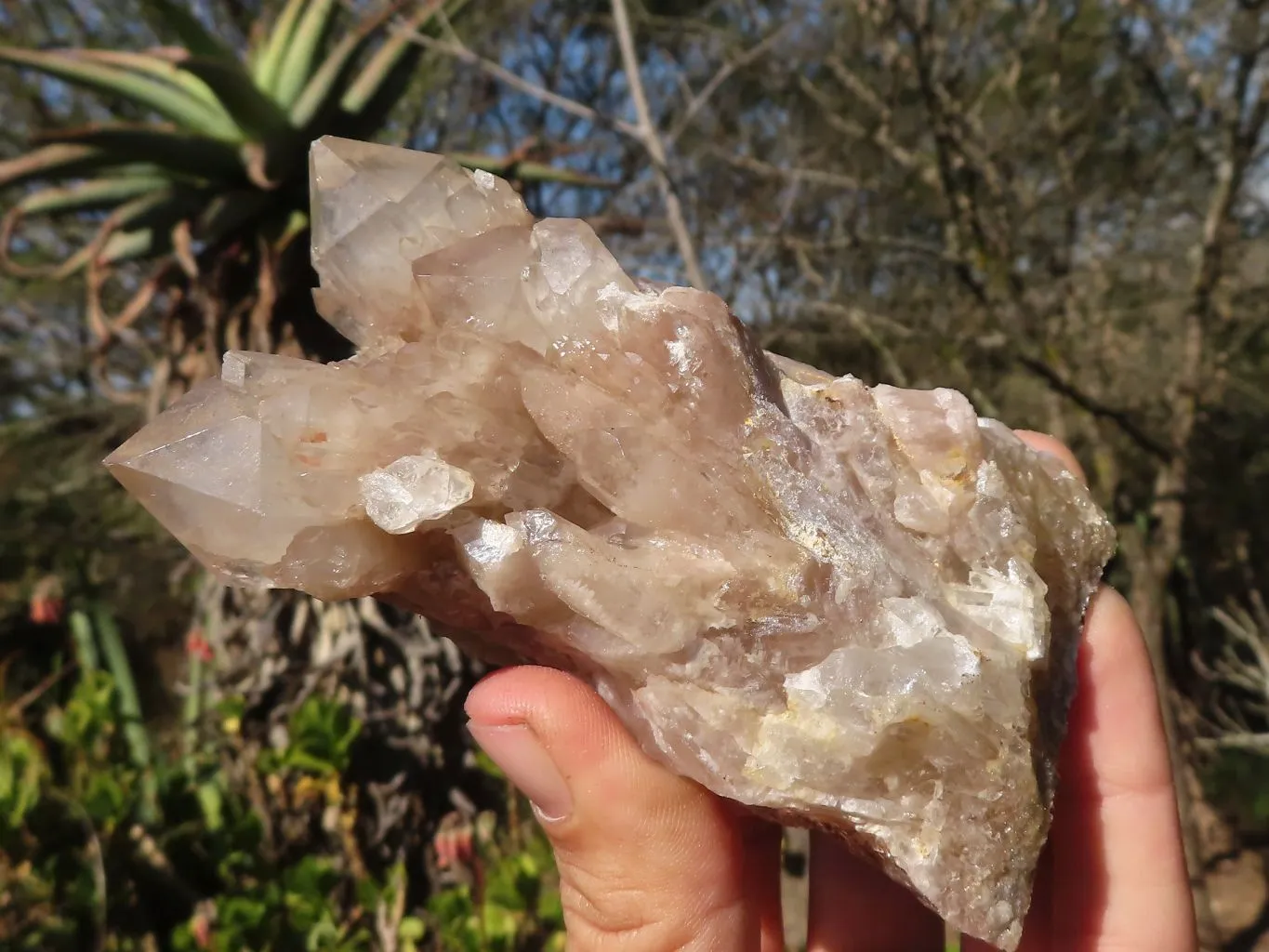 Natural Smokey Quartz Clusters x 3 From Luena, Congo