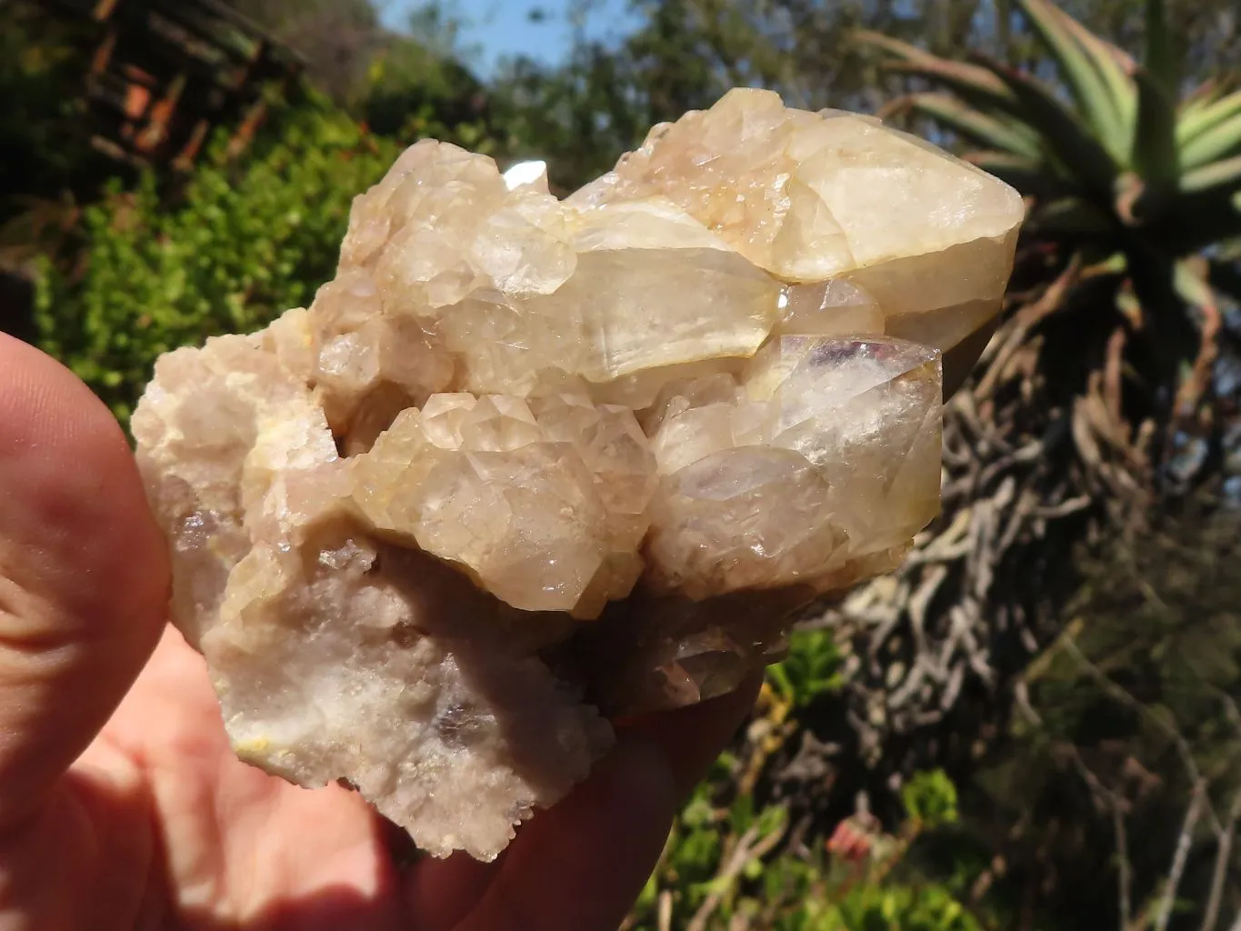 Natural Smokey Quartz Clusters x 3 From Luena, Congo