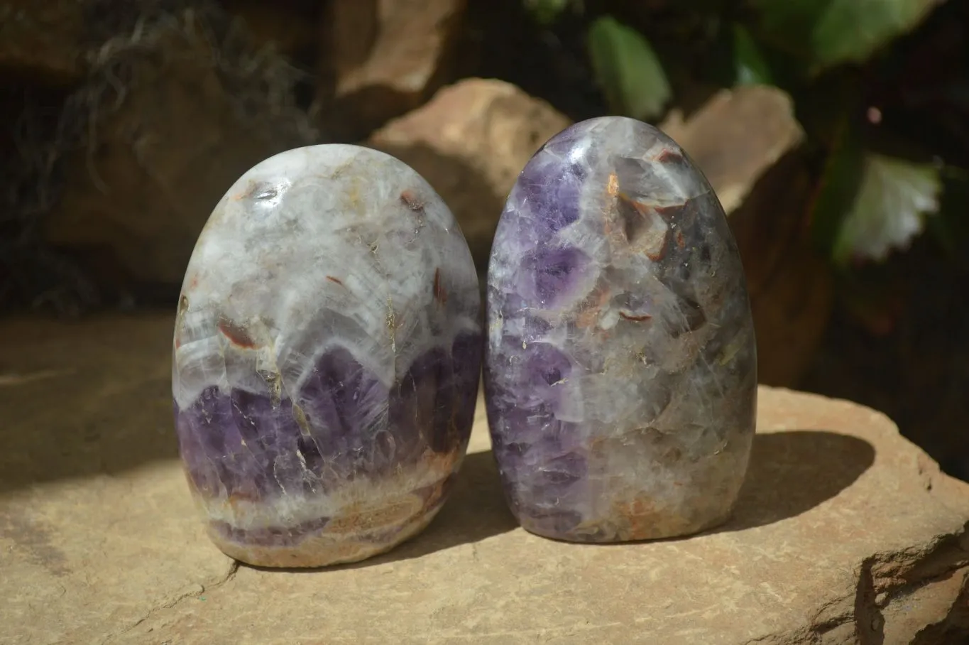 Polished Dream Amethyst Standing Free Forms x 2 From Madagascar