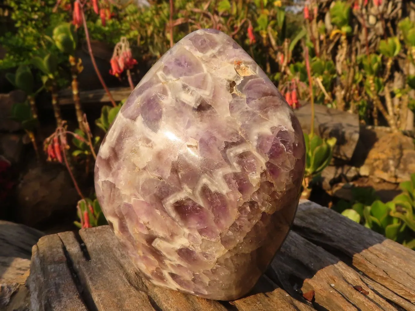 Polished  Large Dream Amethyst Standing Free Forms x 2 From Madagascar